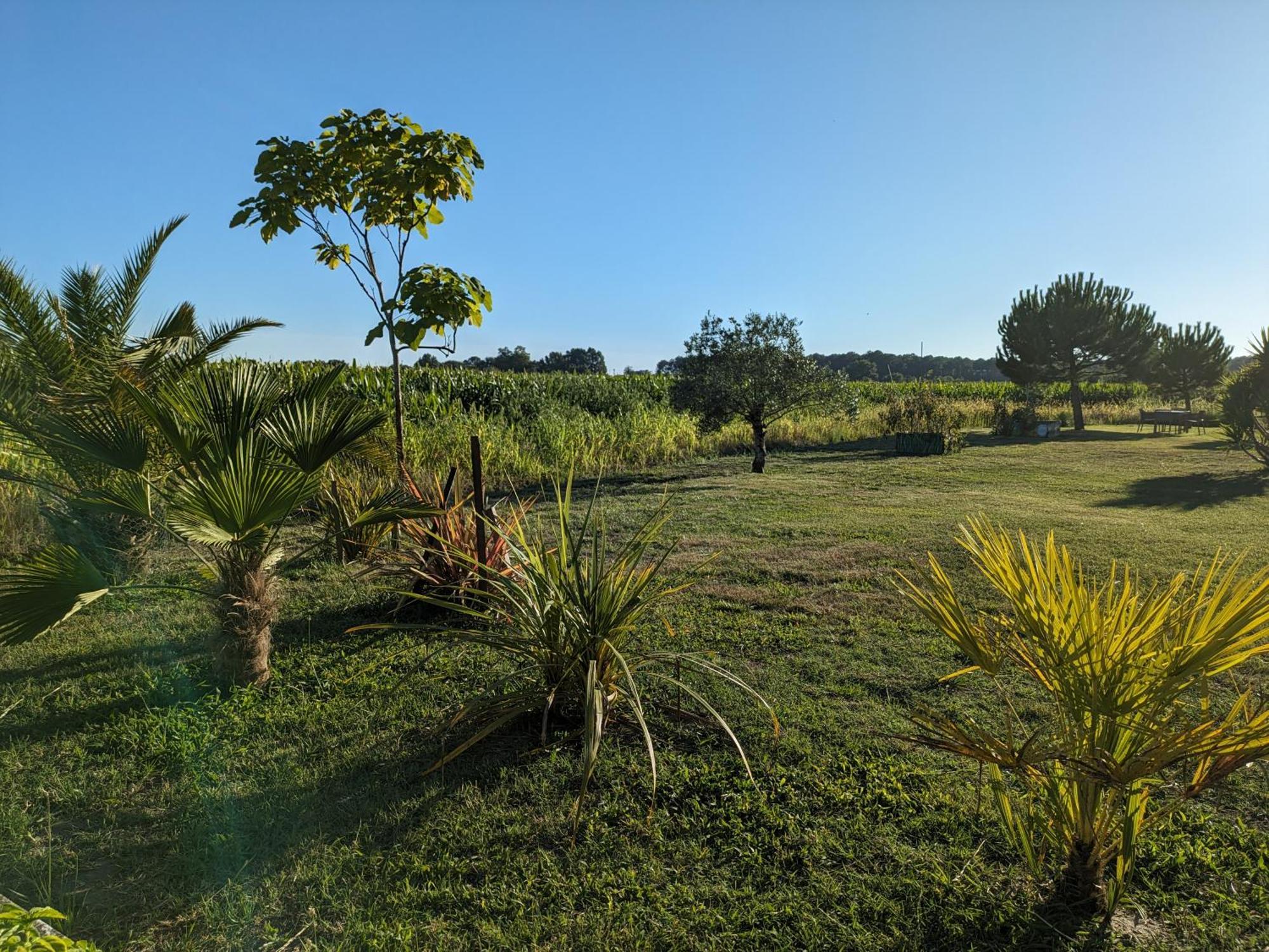 La Grange D'Hardy Vila Soustons Exterior foto