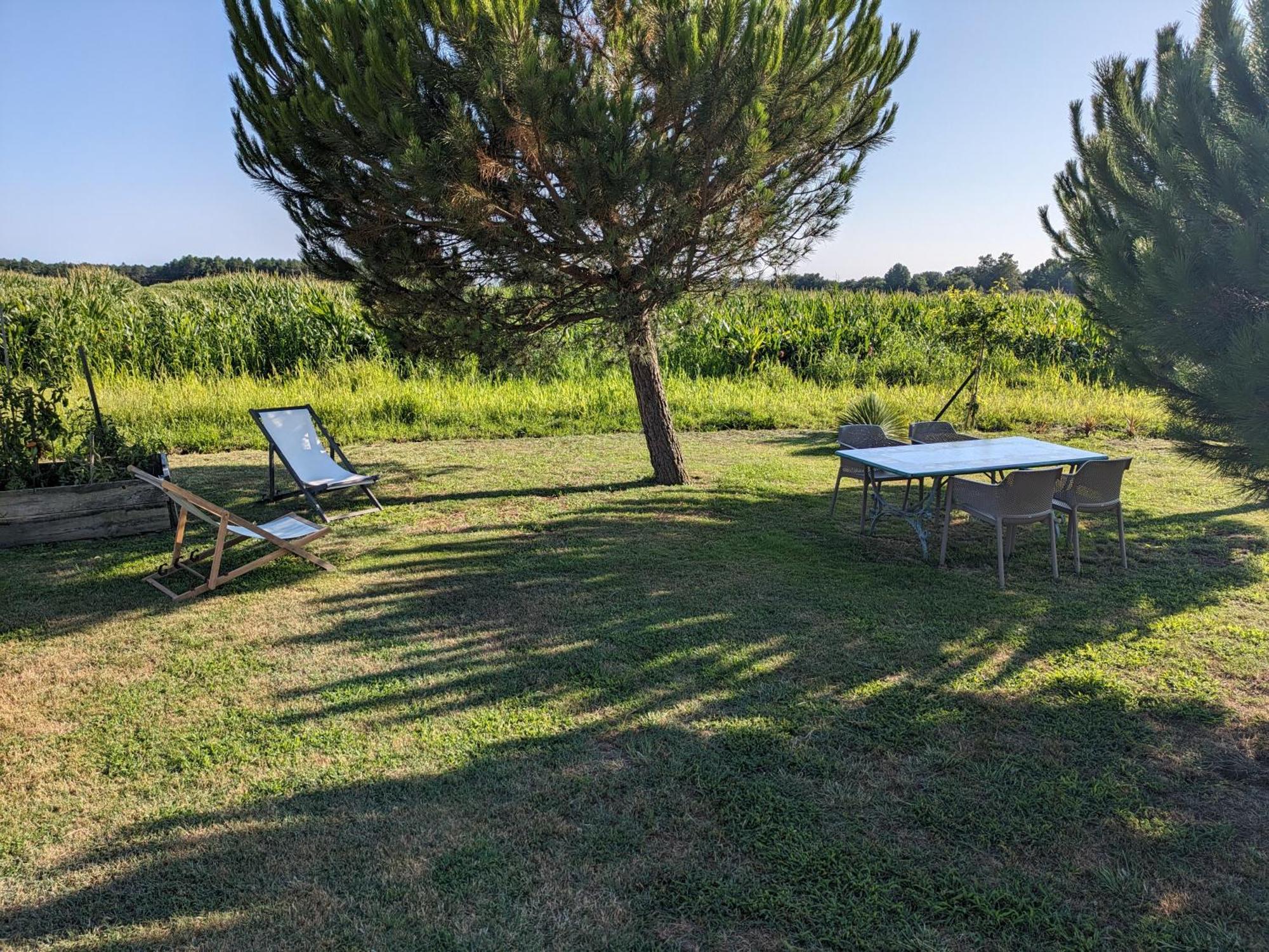 La Grange D'Hardy Vila Soustons Exterior foto